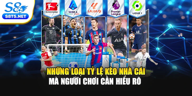 Những loại tỷ lệ kèo nhà cái mà người chơi cần hiểu rõ 